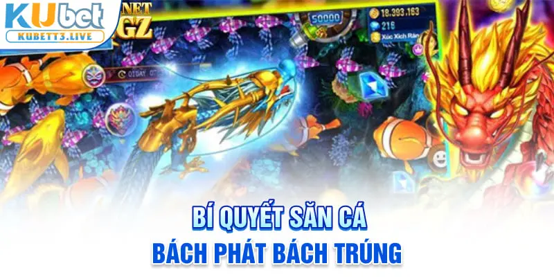 Bí quyết săn cá bách phát bách trúng